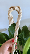 Mordedor Bengala Pet para Cachorro Bifinho Suino - AlecrimPet - New York Pets