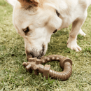 Mordedor Circular Roscão Xbone Germanhart para Cachorro - New York Pets