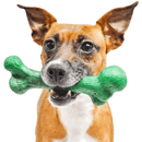 Mordedor Crocodile Barkbone - New York Pets