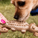 Mordedor JAUcaré Xbone Germanhart para Cachorro - New York Pets