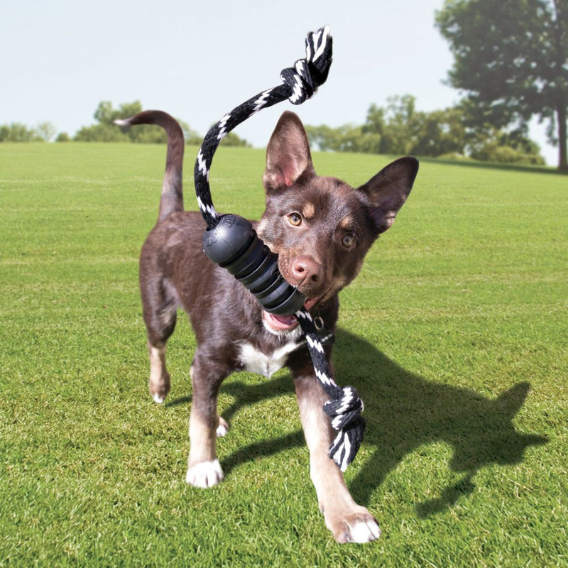 Mordedor Kong Extreme Dental C/Corda Medio - New York Pets