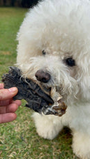 Mordedor Natural Orelha de Cabra Desidratada NYPBites 4 unidades - New York Pets