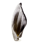 Mordedor Preciosa para Cachorro - AlecrimPet - New York Pets