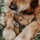 Natuka Buba Mordedor Natural Para Cachorro - New York Pets