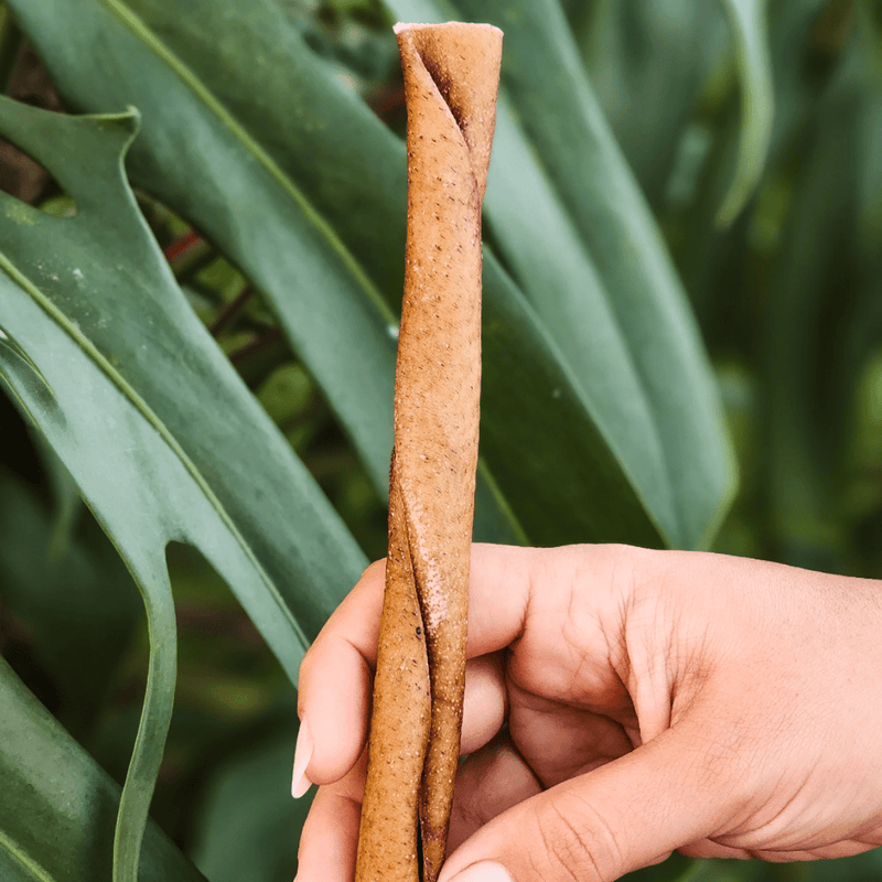 Natuka Buba Petit – Mordedor de Couro de Búfalo Natural para Cachorro - New York Pets