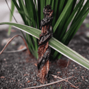 Natuka Dual – Mastigável Natural para Cachorro - New York Pets