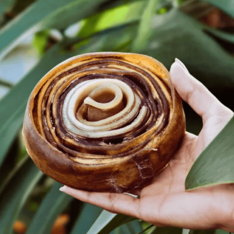 Natuka Roll – Couro Natural Espiralado Sem Pelos Para Cachorro - New York Pets