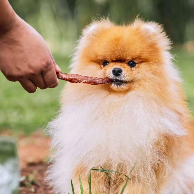 Stix Mastigável Natural Natuka para Cães - Perfeito para Saúde Articular