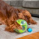 Nina ottosson A - Maze Ball Bola Educativa para Cachorro - New York Pets