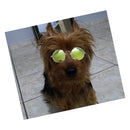 Óculos De Sol para cachorro e Gato de porte pequeno NYP - New York Pets