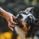 Olho Bovino Natuka 6 unidades Petisco Natural - New York Pets