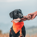 Orelha Bovina Completa Natuka Mordedor Natural - New York Pets