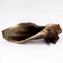 Orelha Bovina Completa Natuka Mordedor Natural - New York Pets
