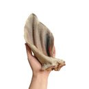 Orelha de Boi Inteira 2un Mordedor Natural LUV - New York Pets