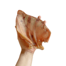 Orelha Suína Mordedor Natural Luv - New York Pets