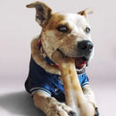 Osso de Nylon Pet Qwerks Barkbone Bacon para Cachorro - New York Pets