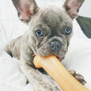 Osso de Nylon Pet Qwerks Barkbone BBQ Churasco para Cachorro - New York Pets