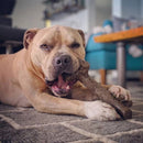 Osso de Nylon Pet Qwerks Barkbone Stick Pasta de Amendoim para Cachorro - New York Pets