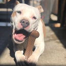 Osso de Nylon Pet Qwerks Flavorit Barkbone Frango para Cachorro - New York Pets