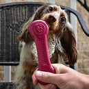 Osso de Nylon Pet Qwerks Flavorit Berry para Cachorro - New York Pets