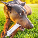 Osso de Nylon Pet Qwerks Flavorit Frango para Cachorro - New York Pets