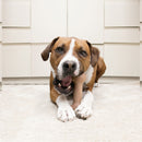 Osso Madeira e Nylon Kong Chewstix Bone para Roer - New York Pets