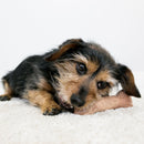 Osso Madeira e Nylon Kong Chewstix Sticks para Roer - New York Pets