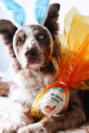 Ovo de Páscoa Natuka Para Cachorro - New York Pets