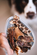 Ovo de Páscoa Natuka Para Cachorro - New York Pets