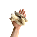 Patas de Coelho Mordedor Natural Luv - New York Pets