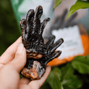 Patas de Jacaré Natuka 4un Mordedor Natural - New York Pets