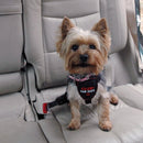 Peitoral Clix Carsafe Cinto de segurança para Carro - New York Pets