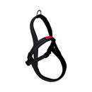 Peitoral Norueguês Kong para Cachorro - New York Pets