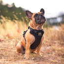 Peitoral Outward Hound Boulder Adventure Harness - New York Pets