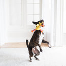 Pelucia Fatcat Galinha com Apito para Cachorro - New York Pets