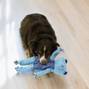 Pelucia Kong Floppy Knots Elefante Jumbo – Pelúcia Gigante com Corda para Cães - New York Pets