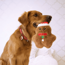 Pelucia Kong Snuzzles Biscoito Gingerbread Holiday - New York Pets