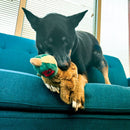 Pelúcia Kong Wild Pato Selvagem Medio para Cachorro - New York Pets