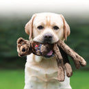 Pelúcia Kong Wubba Friends X - Large com Apito Para Cachorro - New York Pets