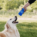 Pelúcia Latinha Squeakie – Pelúcia para Cachorro - New York Pets