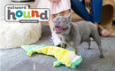 Pelucia para Cachorro Jacare Gigante Outward Hound Squeaker Matz - New York Pets