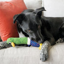 Pelúcia para Cachorro Kong Shakers Cuckoos - New York Pets