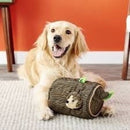 Pelúcia Toca de Porco Espinho da Outward Hound - New York Pets