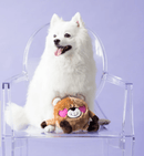 Pelucia Zippy - Brainey Pelucia Ursinho Apaixonado - New York Pets