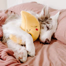 Pelucia Zippy Burrow - Lua com Foguetes - New York Pets