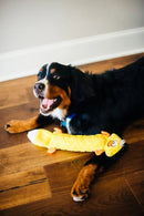 Pelucia Zippy Jigglerz - Pato - New York Pets