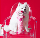 Pelucia Zippy Jigglerz - Ursinho Rosa - New York Pets