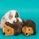 Pelucia Zippy - Ouriço - New York Pets