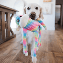 Pelucia Zippy Spencer Pack com 2 - Macacos - New York Pets