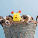 Pelucia ZippyPaws Caterpillar (Lagarta) Deluxe - New York Pets